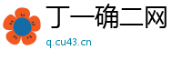 丁一确二网